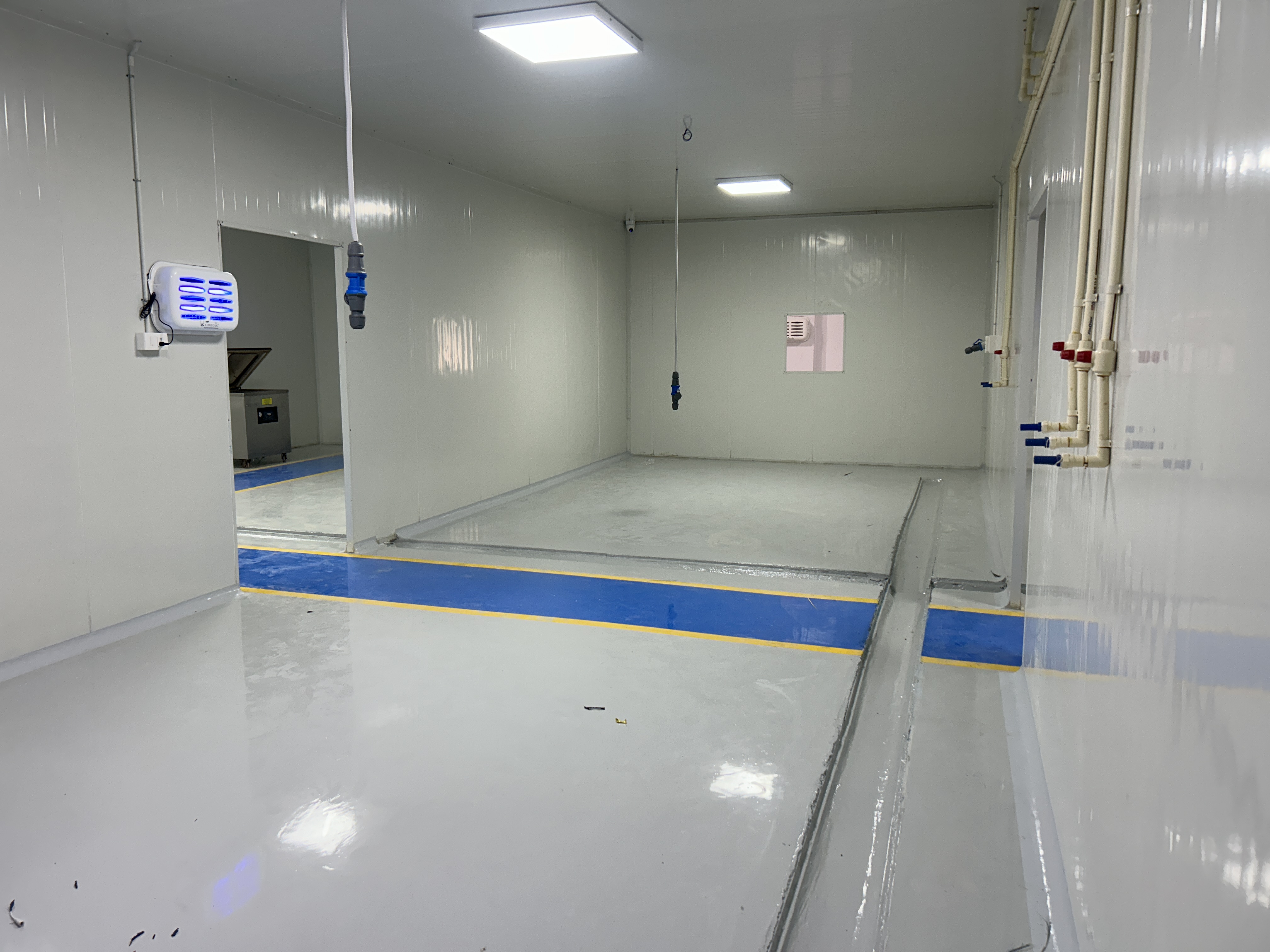 Cold Storage Room with Stainless Steel Racking System